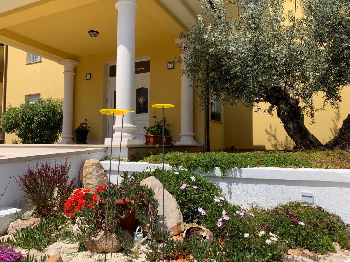 Villa Istriana Ližnjan Eksteriør bilde