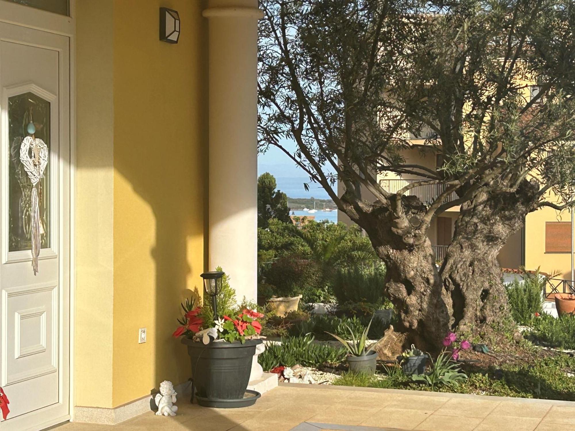 Villa Istriana Ližnjan Eksteriør bilde